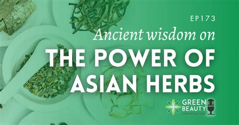 Queen of Herbs: An Aromatic Journey Through Ancient Persian Botanical Wisdom