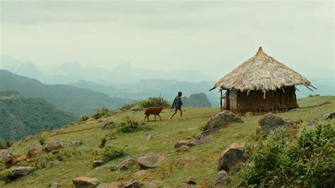  Xabier's Labyrinth: A Coming-of-Age Tale Entwined with Ethiopian Folklore