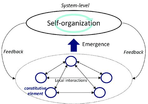 Mastering Complexity: A Journey into the World of Emergence and Self-Organization